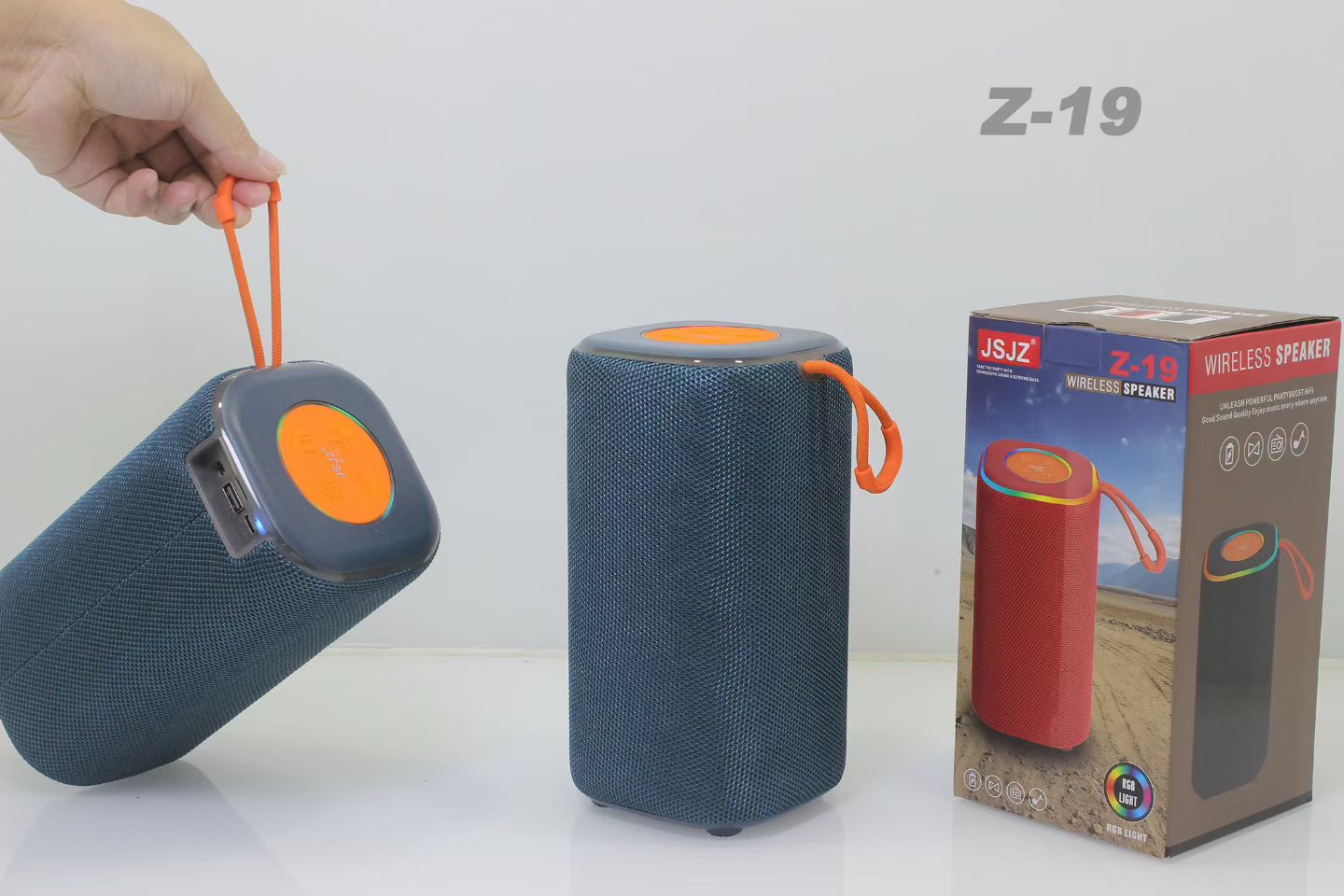 Z19