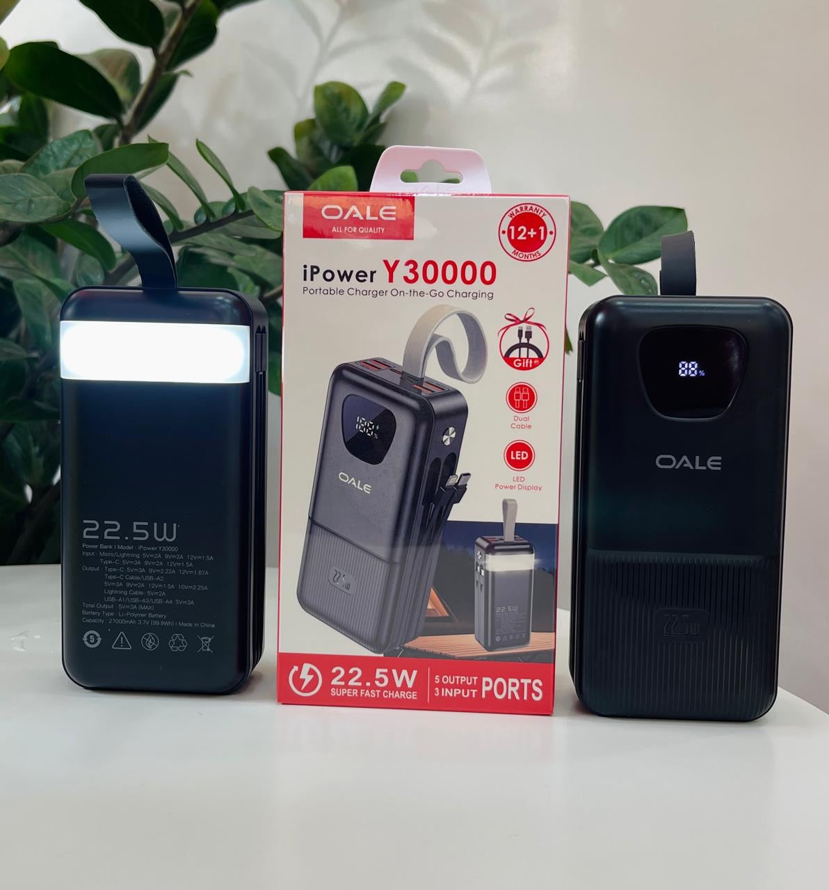 OALE iPower Y30000